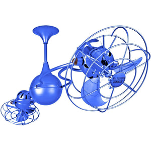 Shown in Light Blue