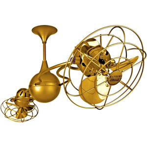 Shown in Gold