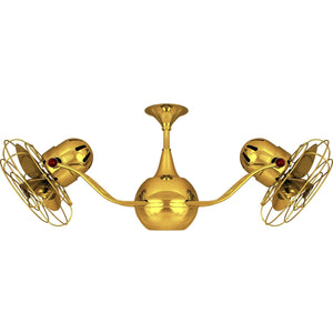 Shown in Gold