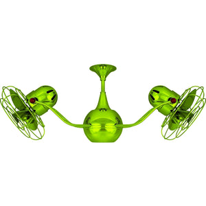 Shown in Light Green